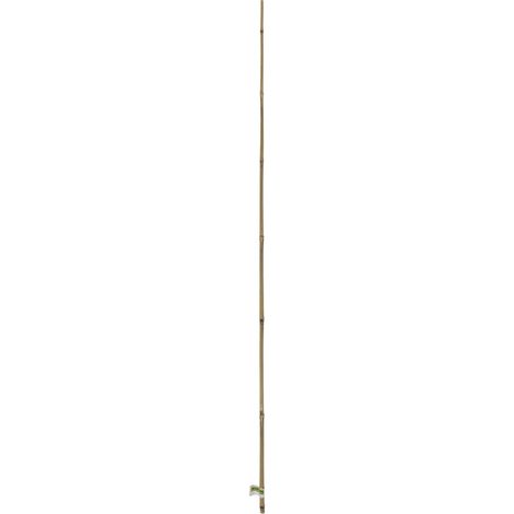 Tutor bamboo nortene (1/2)