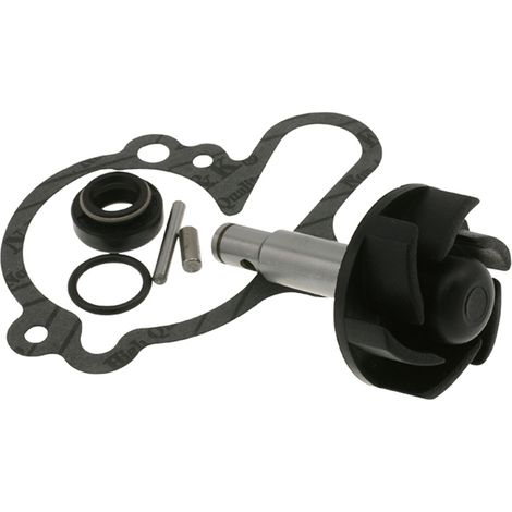 Kit de réparation de pompe à eau Motoforce, Minarelli AM