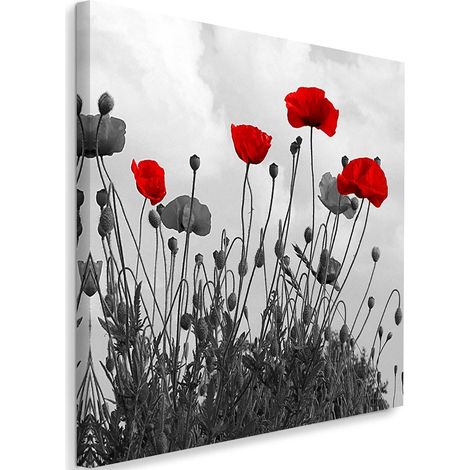 Tableau sur toile Pavot rouge nature fleur 40x40 (1/5)