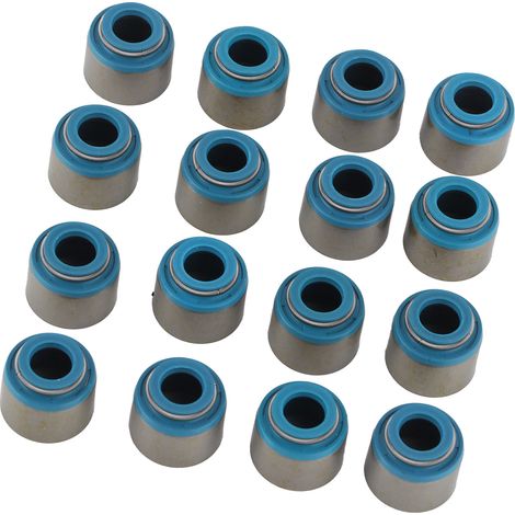 Kit de 16 joints de queue de soupape de rechange pour moteurs GM Small Block LS1/LS6 (1/5)