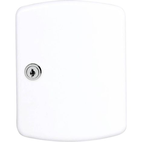 Boîte à clés H202xL157xP75 mm tôle d'acier blanc - Nombre de crochets 15 (1/5)
