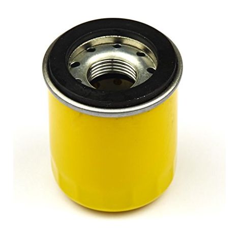 Briggs & Stratton 795990 - Filtro olio (1/4)