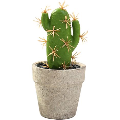 Cactus Artificiel - En Pot - Décoration Intérieure - Résistant Aux Intempéries - Sans Entretien - Lot De 1 (1/5)