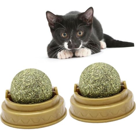Plastic Cat Chew Ball with Mint Flavor, 4 Pieces, Cleans Teeth, Vitamin C Supplement, Green Pet Toy (1/5)