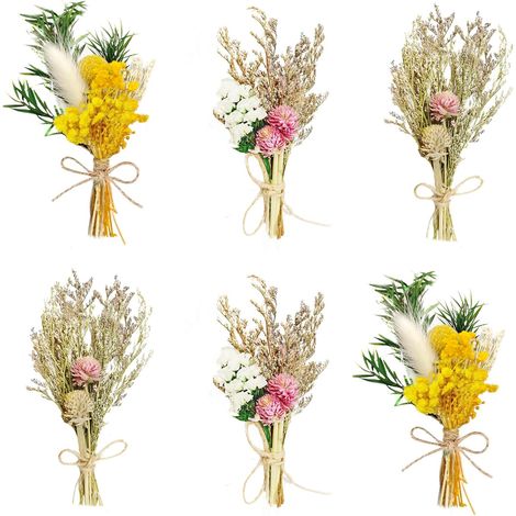 6 PièCes Fleur Sechee - Bouquet Fleurs SéChéEs - Fleurs SéChéEs (1/5)