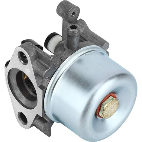 Vergaser-Filtersatz, Ersatzteile für Ary Rasenmäher 675 190cc 799868, Vergaser für Gartengeräte (1/5)