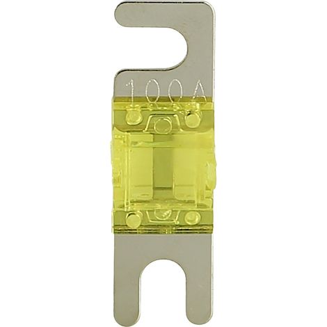 ACV Car-HiFi Glassicherung 100 A 4 St.