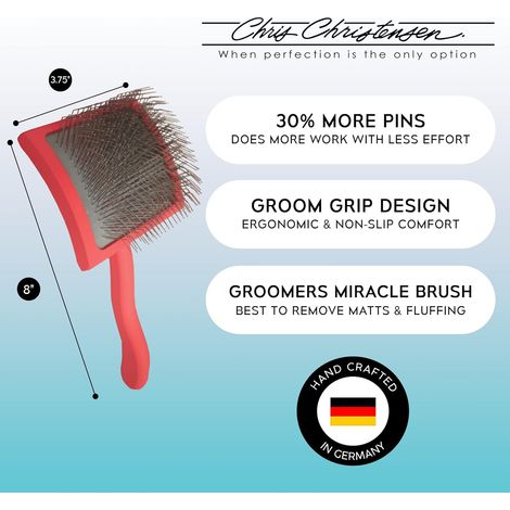 Big G Glättungsbürste für Hunde, ideal für die professionelle Fellpflege: Entwirrt und stylt Goldendoodles, Pudel und mehr. (1/3)
