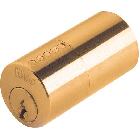 Iseo CILINDRO FISSO Art. 852 mm. 50 10.00 pz