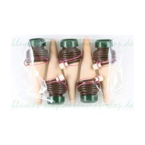 Juego XL de 5 dispensadores de agua para plantas de interior grandes (1/2)