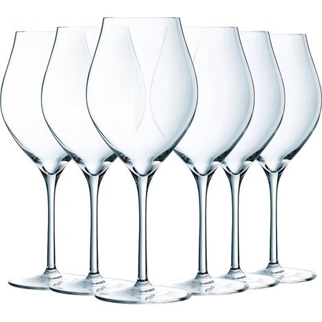 Verre à Vin Exaltation 47 cl Lot de 6 (1/5)