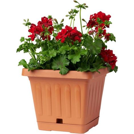 Vaso Terra Quadrato Cotto 20x20 BAMA
