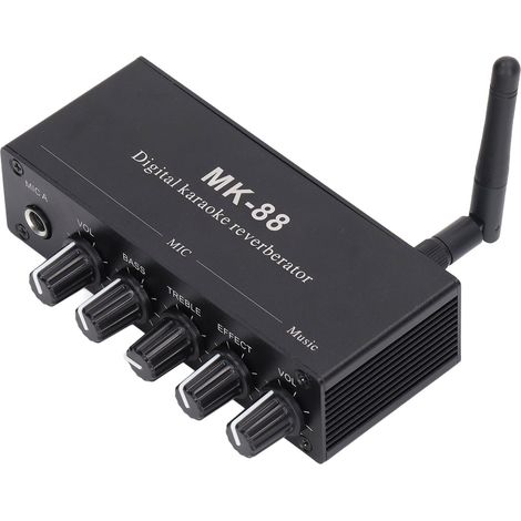 Amplificateur stéréo à réverbération numérique, Bluetooth 5.0, double entrée microphone, alimentation CC 12 V (1/5)