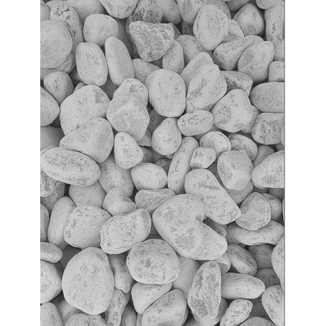 Ciottoli Bianchi di Marmo ''Bianco Carrara'' Mm 40 60 kg 20 (1/3)