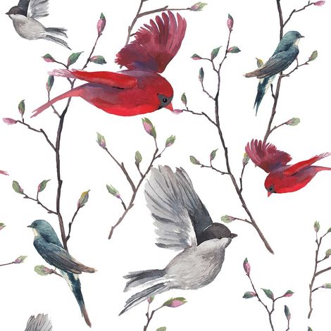 Tableau deco oiseaux illustrés - 50x50 cm (1/5)