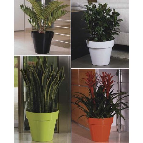 Vaso rotondo "Mitu XL" in materiale sintetico finitura lucida per piante e fiori vasi di alta qualità da interno ed esterno di diverse dimensioni e colori - Select 1: Viola - Select 2: ø35 cm