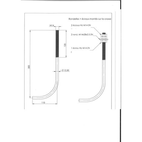 Crosse ancrage M14X300 +3 Ecrou +2 Rondelle Acier zingué-10 pièces