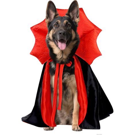 Déguisement décoratif d'Halloween pour chien de grande race, style vampire réglable, adapté au Golden Retriever et Berger Allemand (Noir, Taille L) (1/5)