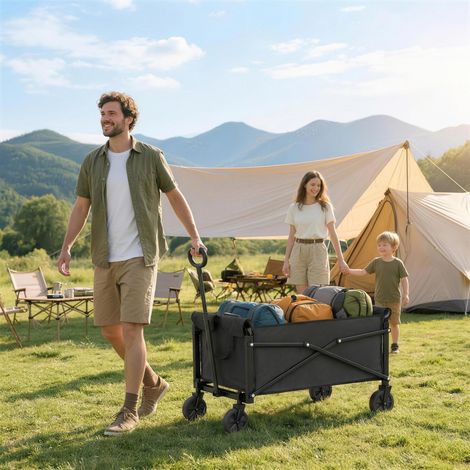 Chariot de jardin pliable et compact de 80 L avec poignée réglable, noir, idéal pour les festivals.