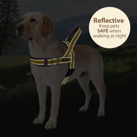 Harnais pour chien réglable et réfléchissant avec double attache, confortable et sécurisé pour promenades quotidiennes