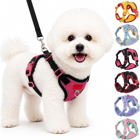 Ensemble Harnais et Laisse pour Chien, Harnais Réglable et Réfléchissant pour Chiot, Respirant Mesh Doux Gilet, Rembourré pour Chiens de Petite et Moyenne Taille, et Chats (Rouge Rosé, M) (1/5)