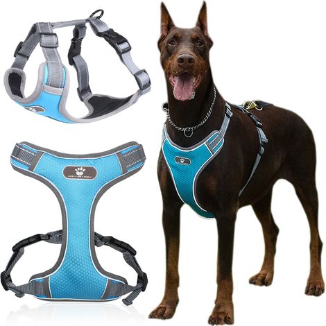 Pettorina da addestramento Astro Blue per cani da passeggiata, taglia XL (1/5)