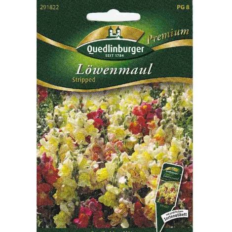 Quedlinburger Löwenmaul Stripped - Blumensamen (1/2)