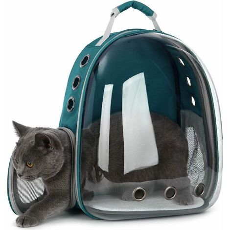 Transporteur d'animaux Sac à Dos Transparent Chiens et Chats Sac de Transport Extérieur Conception de Capsule Respirante Visites à 180 Degrés pour Les Animaux Domestiques - Vert (1/4)