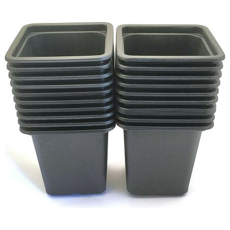 Vilmorin 20 Quadrattpfe, 7 cm
