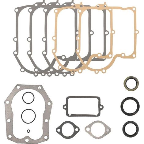 Kit Joints Moteur Pour Briggs 28M707 Joint Carburateur 28D707 286707 289707 494525 494241 (1/5)
