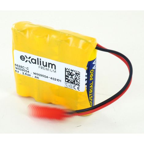 Pile 6V 4xLR6 Alkaline pour Koppert Wireless BeeHome (6628C)