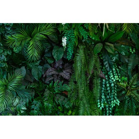 Papier peint panoramique - Forêt Tropicale - 130 cm x 87 cm (1/2)