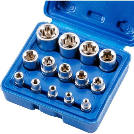 Set di 14 bussole Torx femmina E4-E24 Bussole esagonali E-Torx.