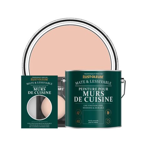 Peinture pour Murs de Cuisine, Finition Mate - Corail (1/2)