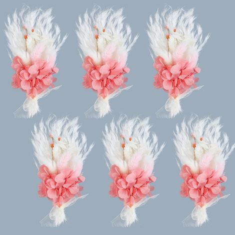 6 Pièces Petit Bouquet Fleurs Sechees Naturelles Mini Bouquet Fleurs Séchées Bohème Mini Fleur Sèch pour Saint Valentin Vase Mariage Fête Emballage Cadeau Décoration (1/5)