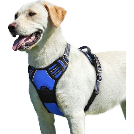Pettorina regolabile per cani con catarifrangenti, comoda e sicura anche per cani di grossa taglia. (1/5)