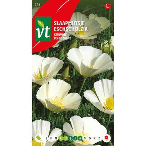 Eschscholtzia Blanc Crème - Ca. 1 gr (Livraison Gratuite) (1/2)