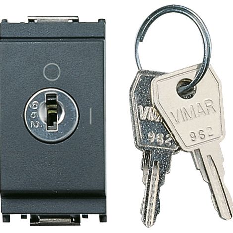 VIMAR - 16165 Interruttore 2P 16(3)A +chiave grigio