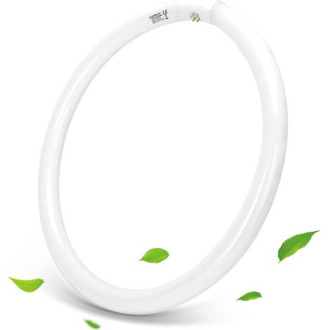 Circolina fluorescente G10Q T9 40cm da 40W in vetro Bianco freddo 6500K Aigostar (1/5)