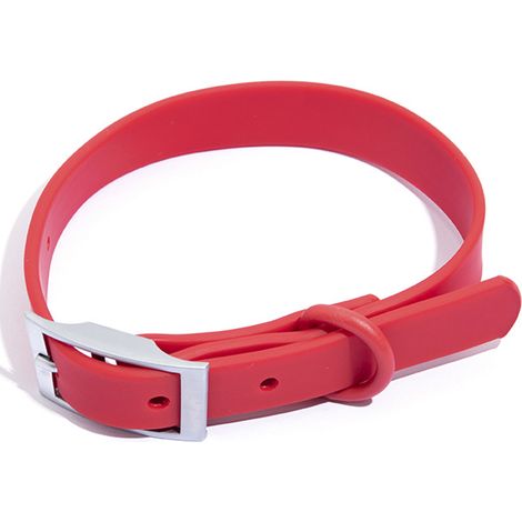 Collier Pour Chien En Sangle Enduite De Caoutchouc - Imperméable Et Facile À Nettoyer - Boucle Antirouille Ajustable - Disponible En Plusieurs Couleurs - 1 Pièce (1/5)