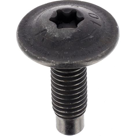 Vis Cylindrique Bombée Large Torx Spéciales Charnière de Porte Fixation Carrosserie et Pièces Mécaniques M8-1.25 x 26,5 mm Réf. 1433 Sachet de 15 (1/4)