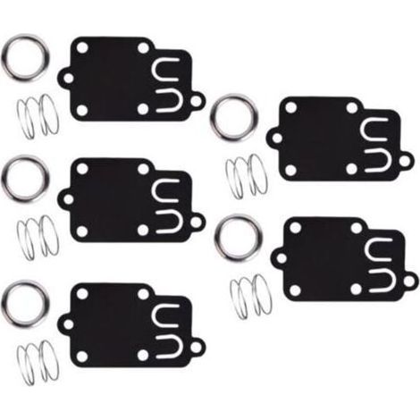 Kit de joint de diaphragme de carburateur en 5 pièces pour moteurs Briggs & Stratton de 2 à 5 CV : 270026, 272538, 272538S, 272637, 4157, 4168, 5021, 5021K, 690766, 221377 et capuchons de ressort. (1/4)