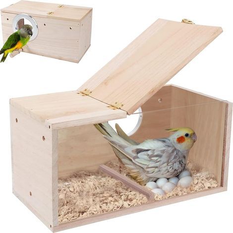 transparentes Vogelhaus aus Holz, Papageien-Nistkasten, Voliere, Wildvogelhaus für den Garten (1/5)