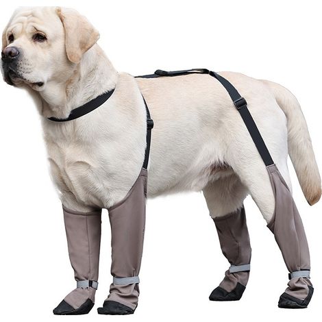 Bottes Chauffantes Antidérapantes pour Chiens de Grande Taille : Protection des Pattes (1/5)