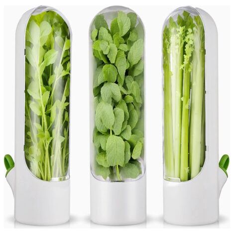 3 pezzi di contenitore per erbe aromatiche per frigorifero, contenitore per erbe aromatiche fresche per frigorifero, contenitore per erbe aromatiche per coriandolo e asparagi