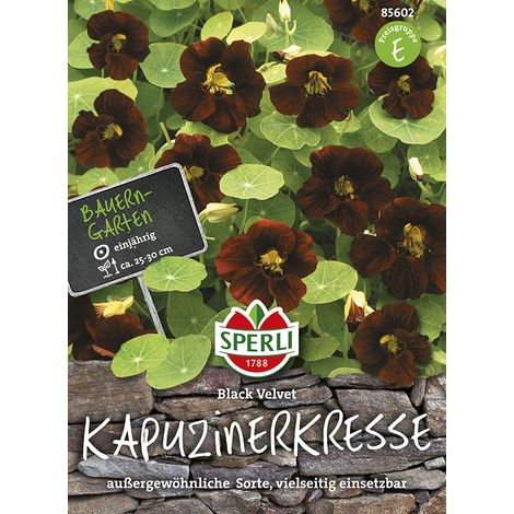 Sperli Kapuzinerkresse Black Velvet - Blumensamen (1/2)