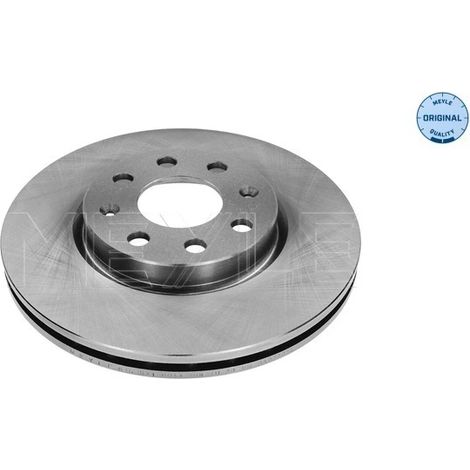 Lot de 2 Disques de frein Meyle 615 521 0015 FIAT 13317922 5 69 024 5 69 065
