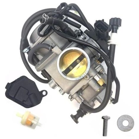 Convient au carburateur du quad Honda Rincon 650 (TRX650FA/FGA, OEM 16100HN8013) (1/5)