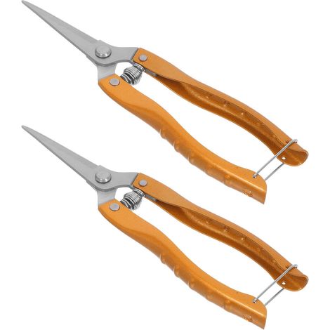 Lot De 2 Ciseaux À Fleurs En Acier Inoxydable Doré Sécateurs De Jardin Pour Cueillette De Raisins Et Fruits Outils De Jardin Pour Ve (1/5)
