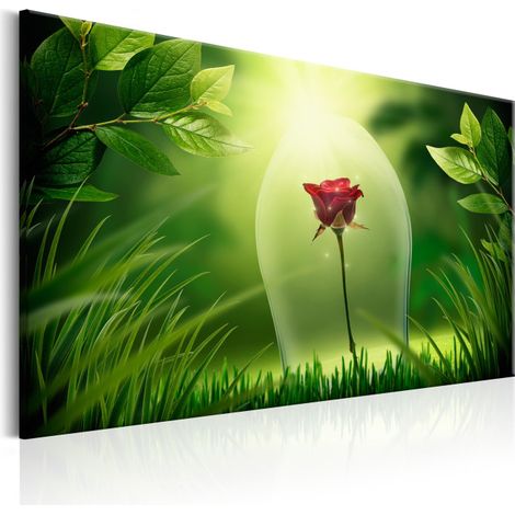 Tableau Imprimé "Magical Rose" 40 x 60 cm (1/2)